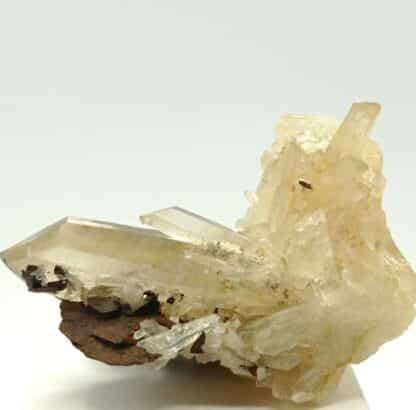 Quartz et Sidérite, Vizille, Isère.