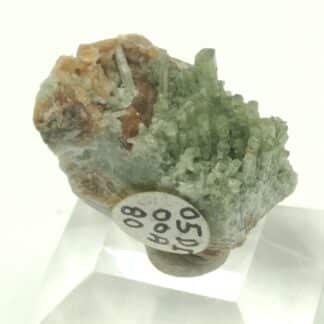 Diopside et Grenat, Mine des Clausis, Saint-Véran, Hautes-Alpes.