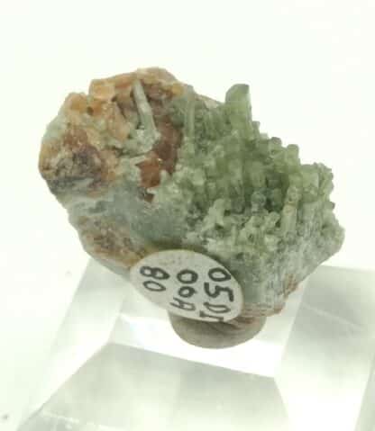 Diopside et Grenat, Mine des Clausis, Saint-Véran, Hautes-Alpes.