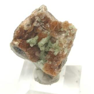 Diopside sur Grenat, Mine des Clausis, Saint-Véran, Hautes-Alpes.