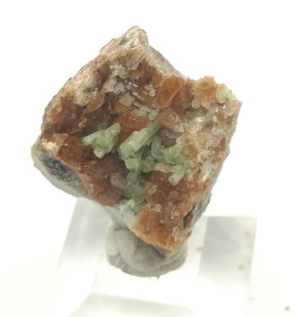 Diopside sur Grenat, Mine des Clausis, Saint-Véran, Hautes-Alpes.