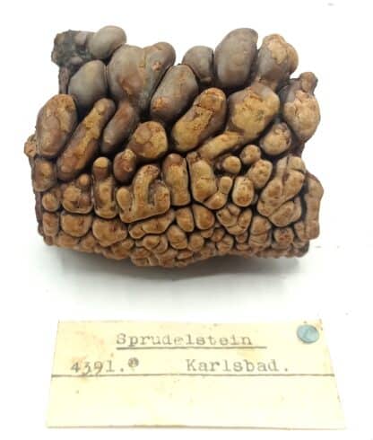 Sprudelstein (Aragonite), Karlsbad (Karlovy Vary), Répubique Tchèque.