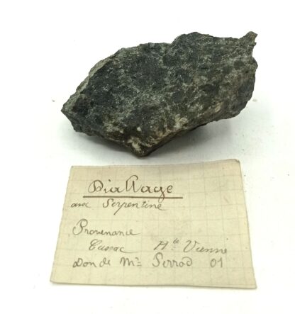 Diallage (Pyroxène) dans Serpentine, Cussac, Haute-Vienne, Limousin.