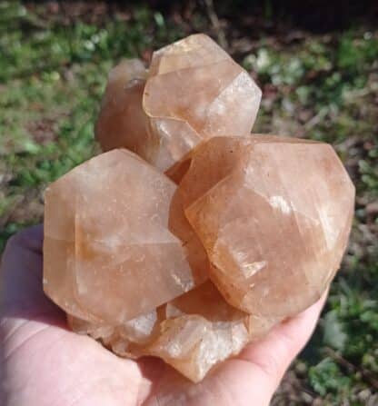 Cristaux de Calcite, Pont-à-Nôle, Mont-sur-Marchienne, Belgique.