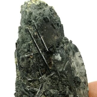 Tourmaline sur Quartz, Carrière Menou, Saint Salvy, Tarn.