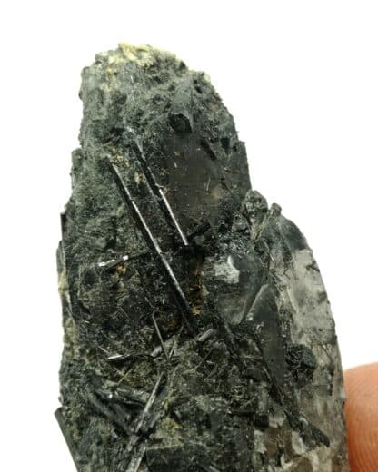 Tourmaline sur Quartz, Carrière Menou, Saint Salvy, Tarn.