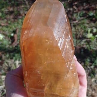 Calcite maclée, Pont-à-Nôle, Mont-sur-Marchienne, Belgique.