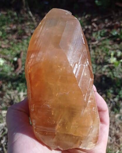 Calcite maclée, Pont-à-Nôle, Mont-sur-Marchienne, Belgique.