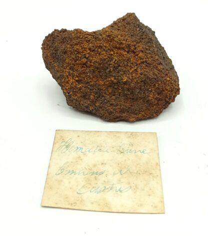 Hématite brune pisolitique, Castres, Tarn, Ex Collection De Chalendar.