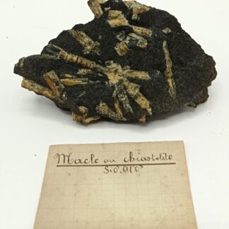 Macle de Chiastolite (Andalousite), Sainte-Brigitte, Morbihan, Bretagne.