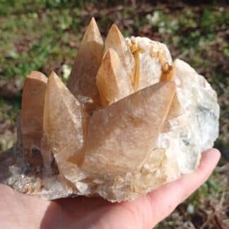 Calcite en scalénoèdres, Loverval, Couillet, Belgique.