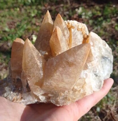 Calcite en scalénoèdres, Loverval, Couillet, Belgique.