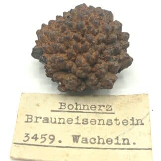 Bohnerz Brauneisenstein (Minerai de fer), Wachein (?), Autriche.
