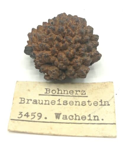 Bohnerz Brauneisenstein (Minerai de fer), Wachein (?), Autriche.