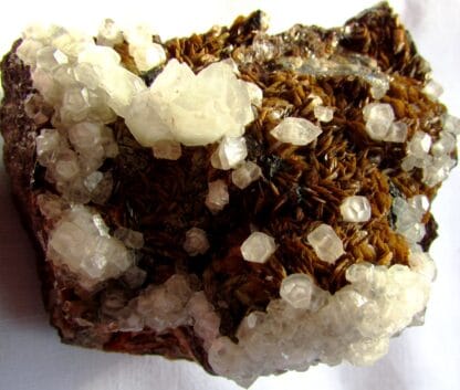 Barytine,siderite et calcite, Peyrebrune, Tarn