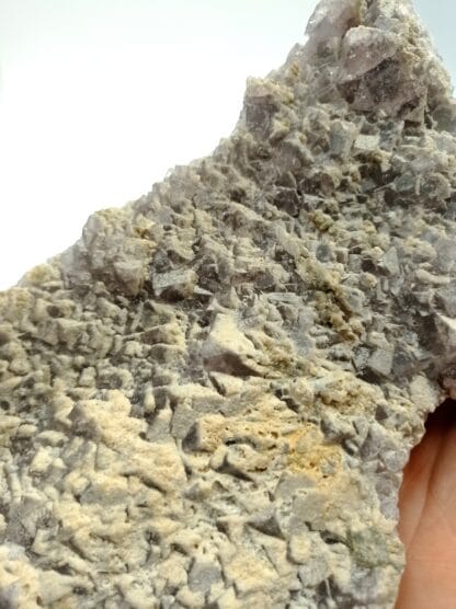 Grande Fluorite (Fluorine) mauve, Mine de Fontsante, Var.