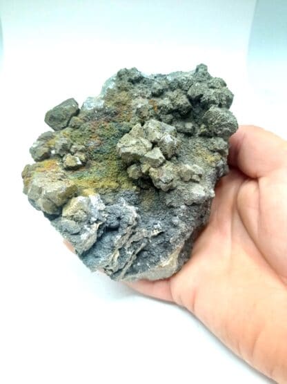 Pyrite irisée sur Galène, Mine d’Olkusz, Pologne.