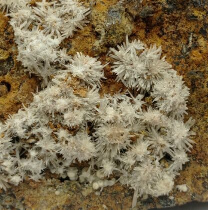 Aragonite, Gergovie, Puy-de-Dôme, Auvergne.