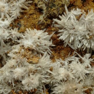 Aragonite, Gergovie, Puy-de-Dôme, Auvergne.