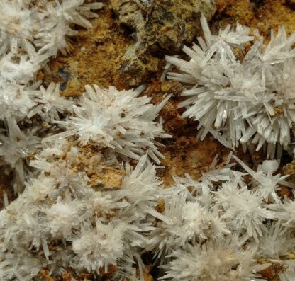 Aragonite, Gergovie, Puy-de-Dôme, Auvergne.