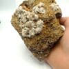 Aragonite, Gergovie, Puy-de-Dôme, Auvergne. – Image 6