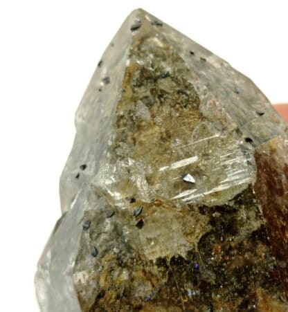 Anatase sur Quartz, Val Cavradi, Grisons, Suisse.