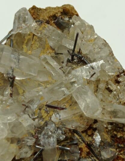 Rutile rouge sur Quartz, Chiamut, Grisons, Suisse.