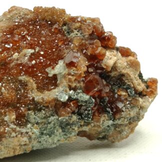 Grenat hessonite et Clinochlore, Val d’Ala, Italie.