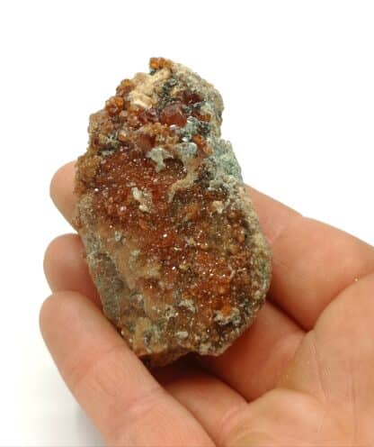 Grenat hessonite et Clinochlore, Val d’Ala, Italie. – Image 7