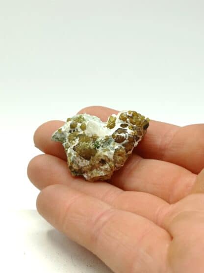 Grenat vert et Calcite, Zermatt, Valais, Suisse.