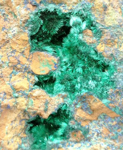 Malachite, Chessy-les-Mines (Chessy), Rhône.