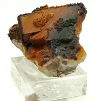 Quartz et Fluorite (Fluorine), Maxonchamp, Vosges.