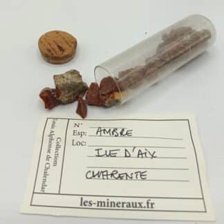 Ambre, Île d’Aix, Charente, Ex. Coll. De Chalendar.