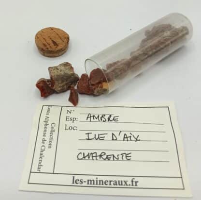 Ambre, Île d’Aix, Charente, Ex. Coll. De Chalendar.