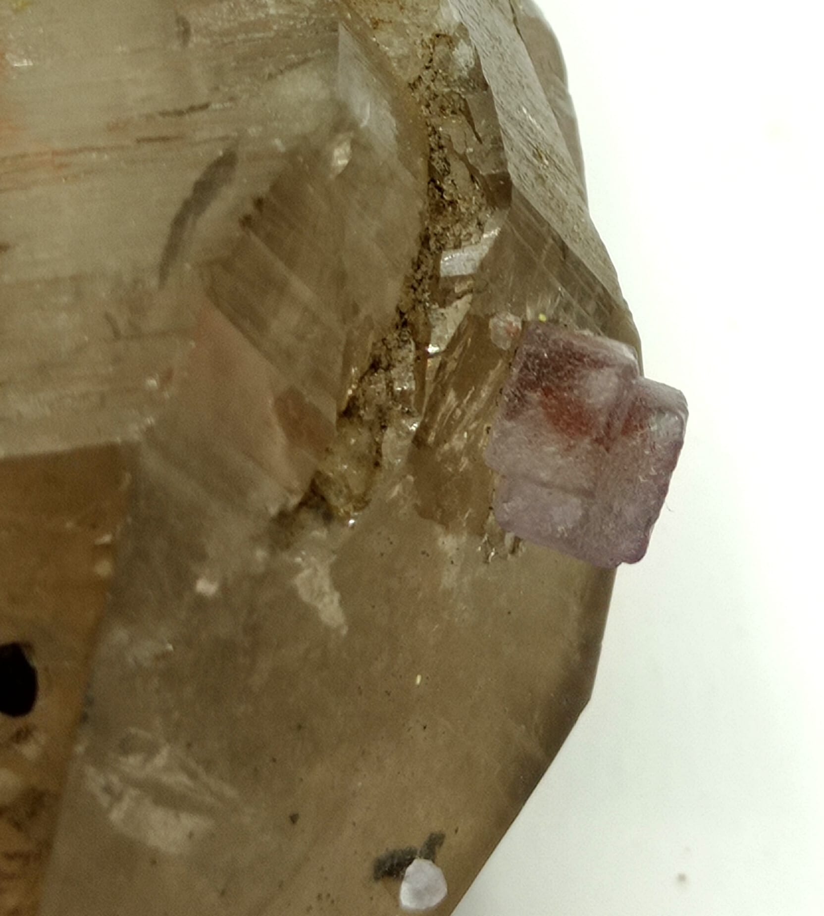 Fluorite mauve et bleue sur Quartz fumé, La Verte, Chamonix, Haute-Savoie.