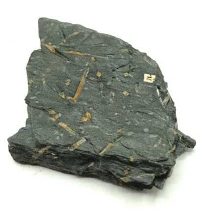 Chiastolit (Chiastolite), Fichtelgebirge, Bavière, Allemagne.