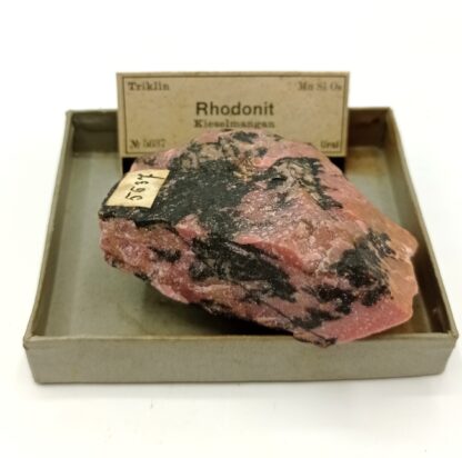 Rhodonit (Rhodonite) manganifère, Jekatarinenburg, Ural (Oural), Russie.