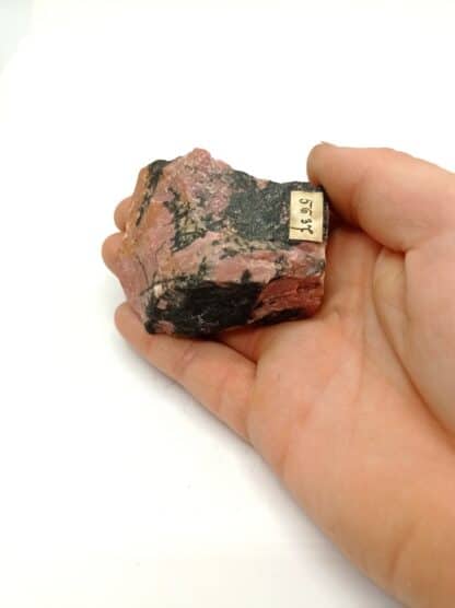 Rhodonit (Rhodonite) manganifère, Jekatarinenburg, Ural (Oural), Russie.