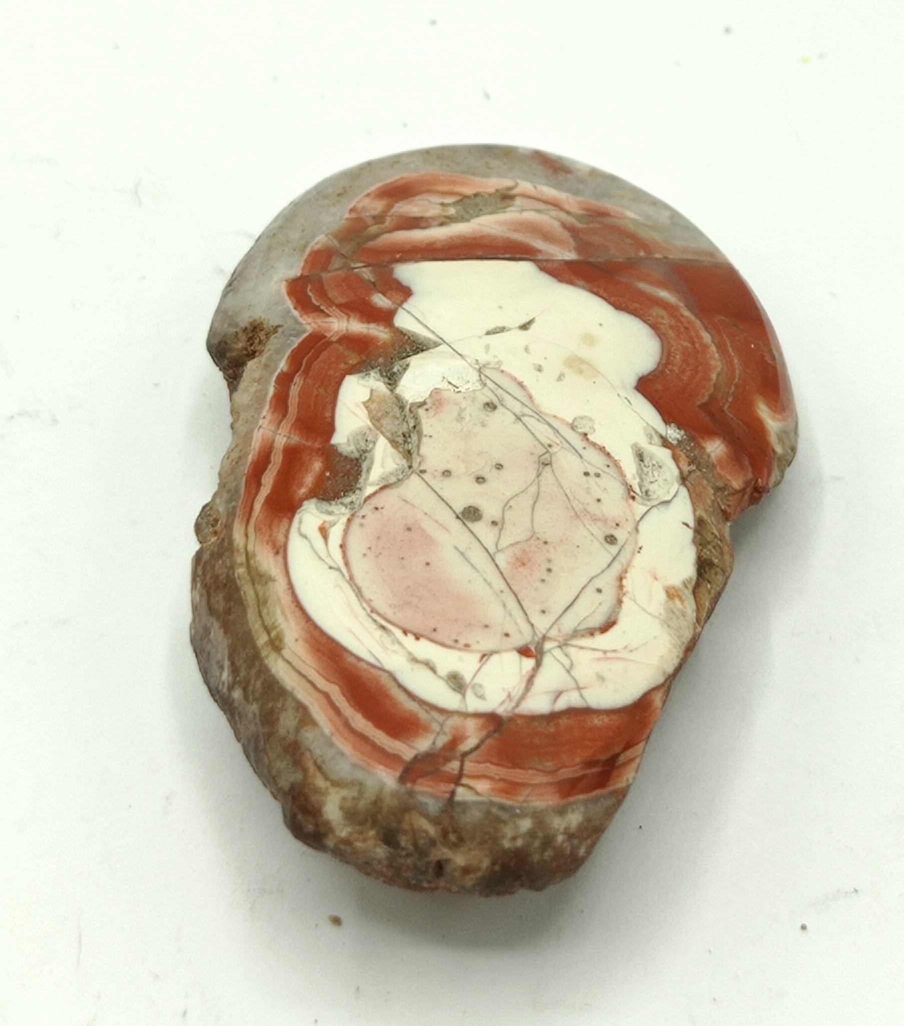 Agate « Truffite », Ardèche, XIXème siècle.