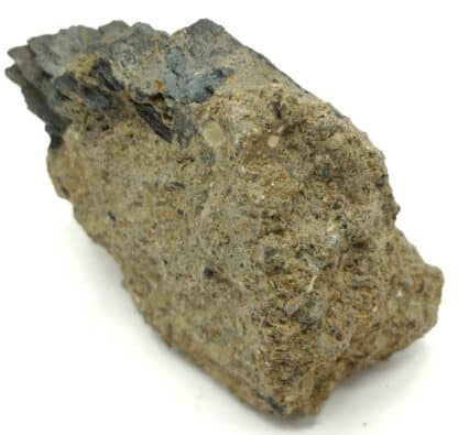 Hornblende basaltique, Cantal, Auvergne.