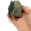 Hornblende basaltique, Cantal, Auvergne.