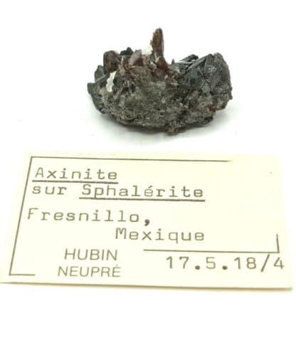 Axinite et Sphalérite (Blende), Mine Fortuna, Fresnillo, Mexique.