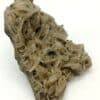 Baryte, Pyromorphite, Fluorite et Cérusite, Le Rossignol, Chaillac, Indre.