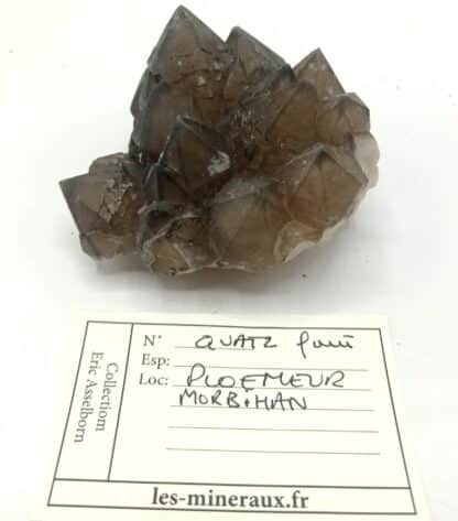 Quartz fumé, Ploemeur, Morbihan, Bretagne.