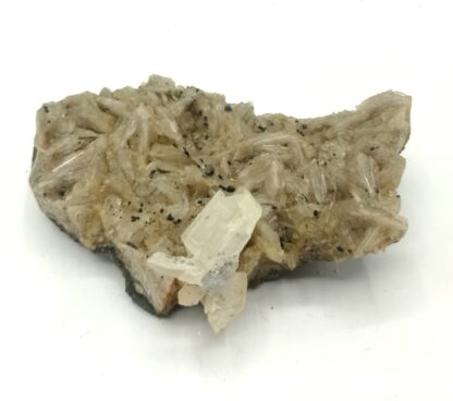 Baryte et Cérusite, Le Rossignol, Chaillac, Indre.