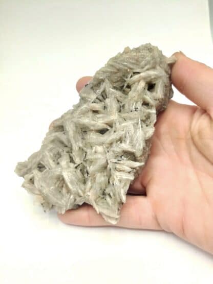Baryte, Pyromorphite et Fluorite, Le Rossignol, Chaillac, Indre. – Image 6