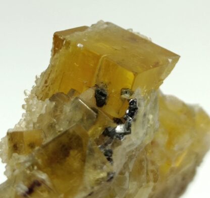 Fluorine (Fluorite) et Quartz, Vensat, Puy-de-Dôme, Auvergne.