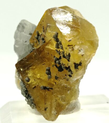 Calcite, Fluorite (Fluorine) et Pyrite, El Hammam, Maroc.