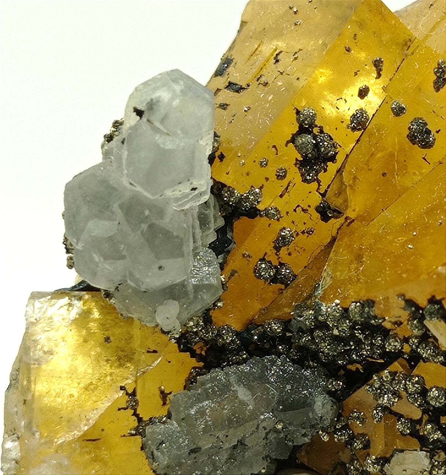 Calcite, Fluorite (Fluorine) et Pyrite, El Hammam, Maroc.