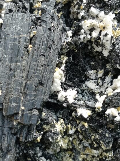 Tourmaline (Schorl) et Gilbertite, Carrière Menou, Saint-Salvy, Tarn.